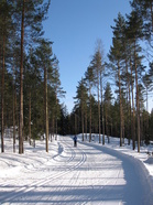 ... kun vielä runsas viikko sitten 27.3. Paimion Rivonmäen kuntoradalla oli mitä hienoimmat hiihtokelit! Kuvat copyright © 2009 Hanna-Mari Helkkala.
