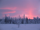 Ylläksen ladut Latvamajan tuntumassa. Copyright © 2009 Hanna-Mari Helkkala.